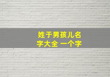 姓于男孩儿名字大全 一个字